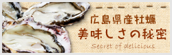 広島県産牡蠣美味しさの秘密