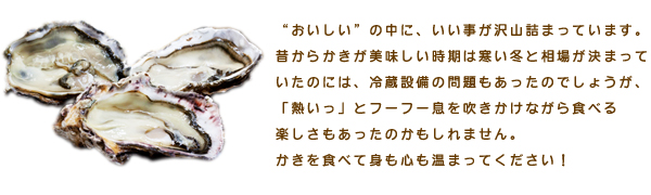 美味しいの中にいい事がいっぱいつまっている広島県産のかき