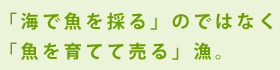 魚を採るのではなく、魚を育てて売る